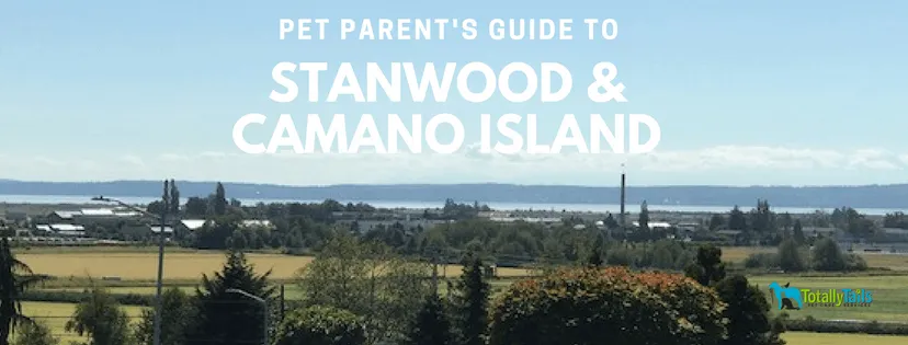 pet-parents-guide-stanwood-camano-island
